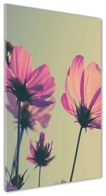 Üvegkép falra Rózsaszín virágok osv-104707608
