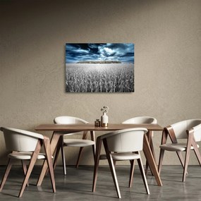 A mező képe (üvegen) (70x50 cm)