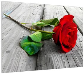 Piros rózsa képe (70x50 cm)