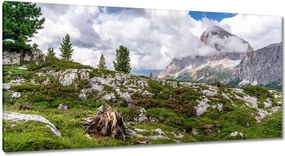 Festmények 115x55 Hegyi kilátás Tájkép