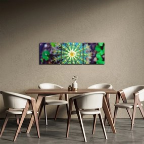Kaktusz kép (órával) (90x30 cm)