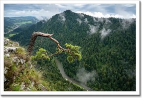 Poszterek keretben 60x40 Tájkép Sólyomkő