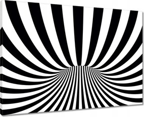 Vászonkép 70x50 Absztrakt fekete-fehér