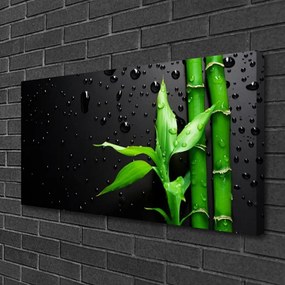Vászonkép falra Bambusz levelek Plant 125x50 cm