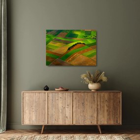Kép - Mezők, rétek (üvegen) (70x50 cm)