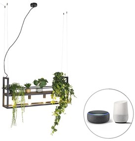 Okos függőlámpa fekete fával és polccal 4-lámpás, wifivel A60 - Cage Rack