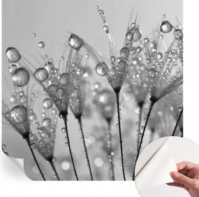 Prémium öntapadós fali tapéta Nedves finomság 250x250 cm