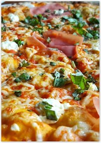 Poszterek 70x100 Repül a nyál