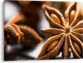 Kép - Anise (70x50 cm)