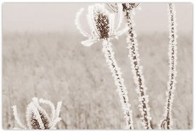 Kép - Gyűszű télen (90x60 cm)