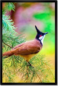 Poszterek keretben 40x60 Madár az ágon Természet