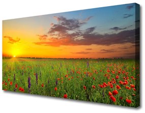 Vászonkép nyomtatás Sun mezei virágok Természet 120x60 cm