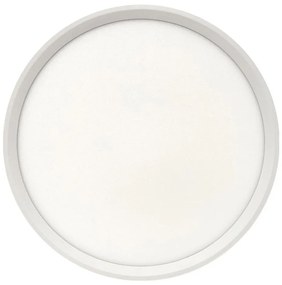 LED mennyezeti lámpa LED/24W/230V 3000/4000/6500K átm. 30 cm, fehér