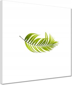 Vászonkép 30x30 Zöld levél Minimalizmus