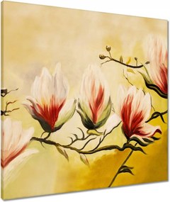 Vászonkép 60x60 Magnólia