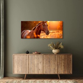 Kép - Ló a naplementében (120x50 cm)
