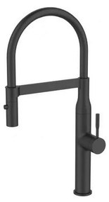 ALVEUS 1150893 -Mosogató csap rugalmas karral permetezővel MIRAGE 49,5 cm