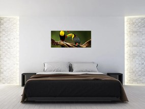 Ülő tukánok képe, Costa Rica (120x50 cm)