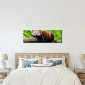 A vörös panda képe (órával) (90x30 cm)