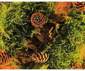 Li-Go 23654 - Fényerőszabályozható asztali dekoráció LED/12W/230V 20x22 cm moha