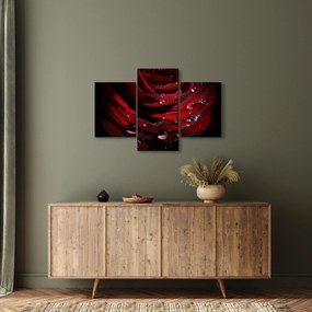 Kép - Rózsa részlete (90x60 cm)