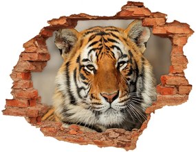 3d-s lyukat fali matrica Bengáli tigris nd-c-88747131
