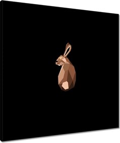 Vászonkép 60x60 Nyuszi fekete alapon