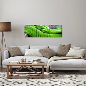 Zöld kígyók képe (órával) (90x30 cm)