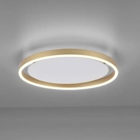 Leuchten Direkt 15391-60 - LED Dimmelhető mennyezeti lámpa RITUS LED/20W/230V