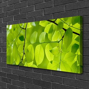 Vászonkép falra Elhagyja Plant 140x70 cm