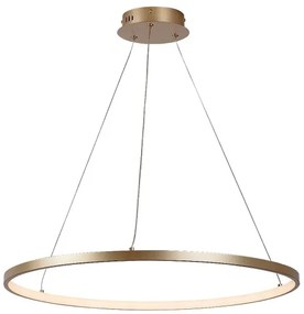 Rabalux 72347 - LED kábeles csillár BELIZA LED/55W/230V 3000K