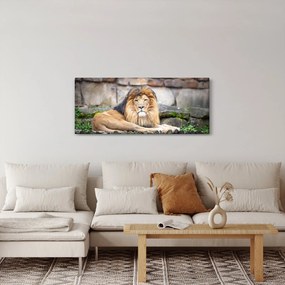 Oroszlán képe (120x50 cm)