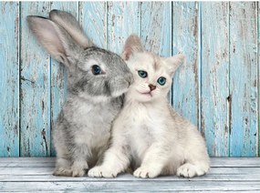 Állatos Cat &amp; Bunny 500 db-os puzzle Compact Clementoni