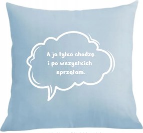 Párna párnahuzat Mindenkit takarítok