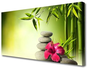 Vászonkép nyomtatás Virág bambusz Zen kövek 100x50 cm