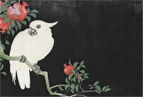 Fotótapéta Flizelin Dekoratív az irodába Papagáj gránát 152x104 Ragasztó