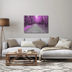 Kép - Út a parkon (70x50 cm)