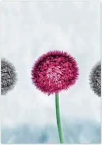 Poszterek 70x100 Szürke-lila