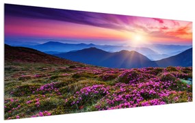 Virágzó hegyi tájkép (120x50 cm)