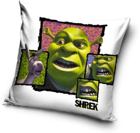 Shrek Párnahuzat 40x40 cm Velúr