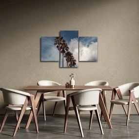 Kép - Pálma dráma (90x60 cm)
