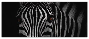 Zebra képe (120x50 cm)