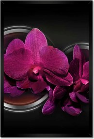 Poszter keretben 40x60 Orchidea Virág Virágok