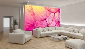 Fotótapéta - Absztrakt művészet (152,5x104 cm)