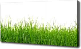 Fotótapéta nappaliba Fű 100x70 cm