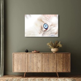 Kép - Cica (90x60 cm)