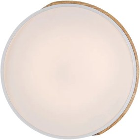 Rabalux 3527 - LED Mennyezeti lámpa MAPLE LED/24W/230V fehér