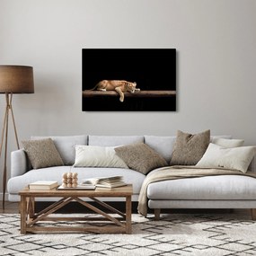Kép - Lioness (90x60 cm)
