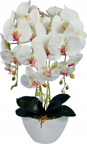 Orchidea művirág élő fehér, rózsaszín szív orchidea 60cm virágtartó