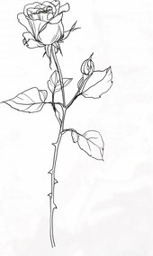 Poszter 68x98cm RĂłzsa kontĂșr